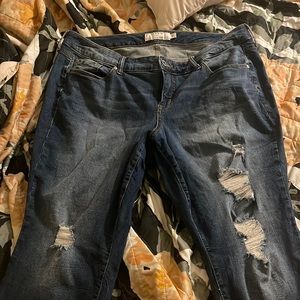 Torrid ripped jeans